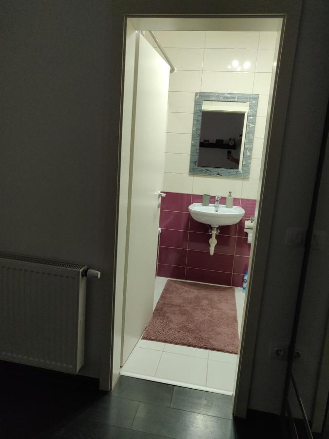 Avangarden Apartment Brassó Kültér fotó